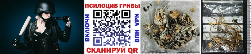 Галлюциногенные грибы MAGIC MUSHROOMS  Азнакаево 